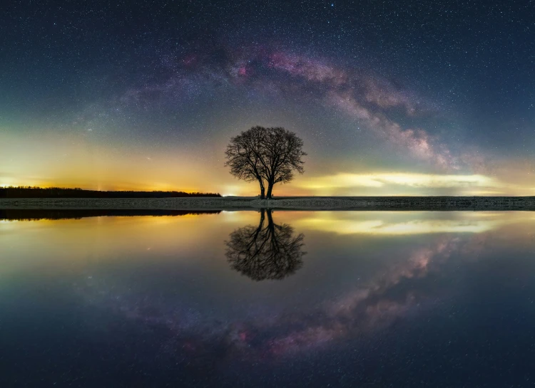 a lone tree standing on the edge of a river under a colorful sky