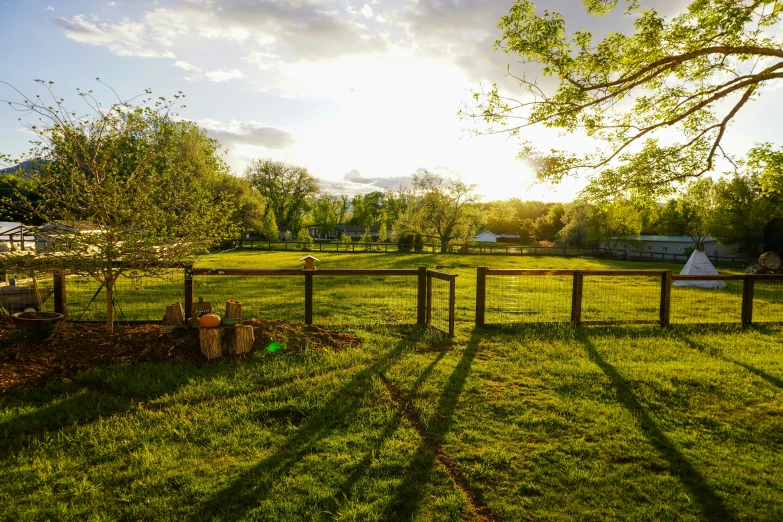 a farm with fence, grass and farm buildings