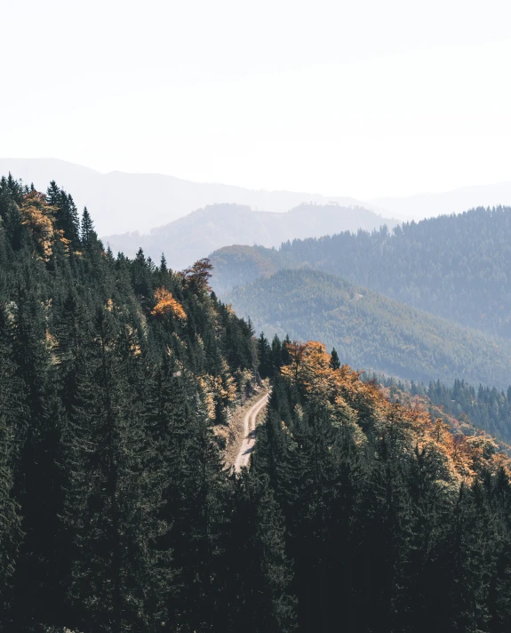 there are several mountains behind the trees