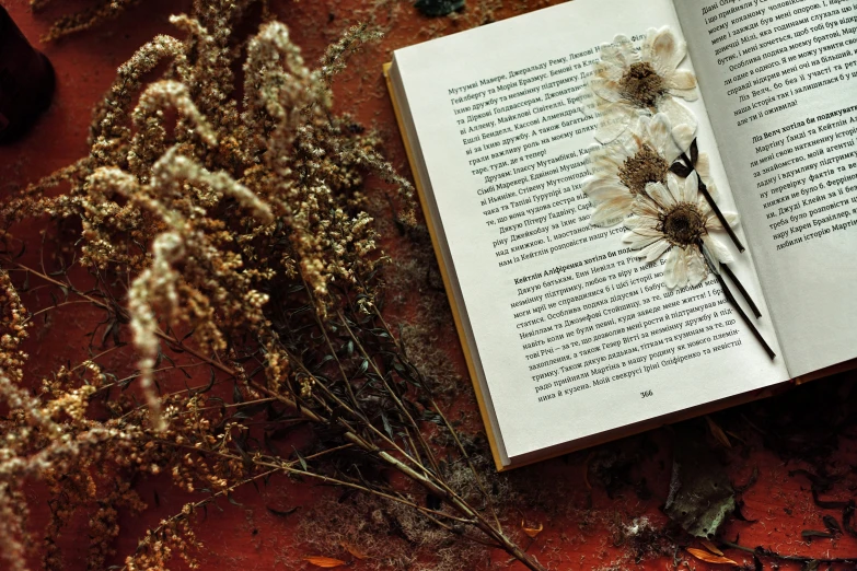 a open book with three dried flowers on it