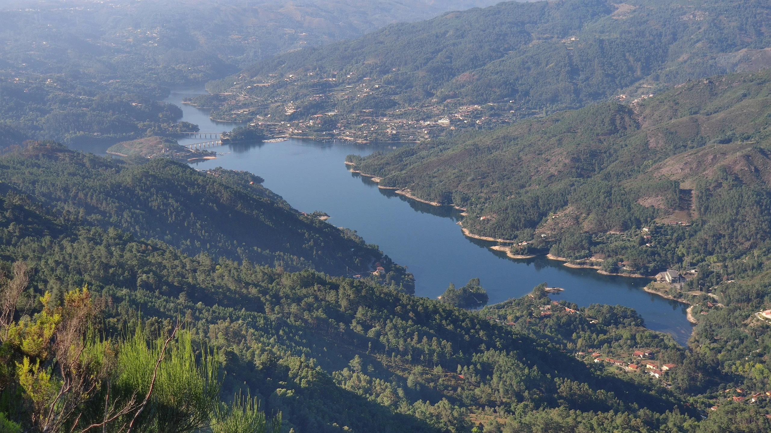 an aerial view of a forest with a river