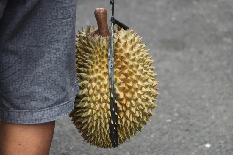 the small durian is hanging from a person's arm