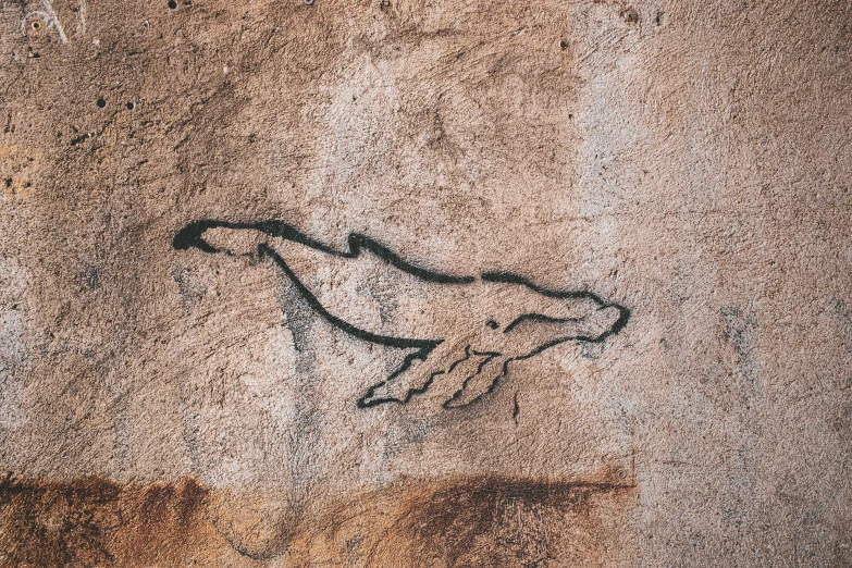 this is a rock with a bird drawn on it