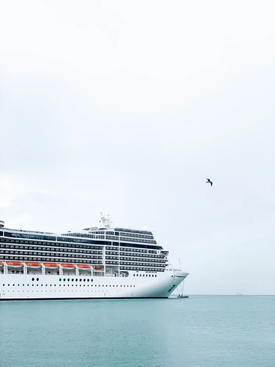 a large cruise ship sailing on the ocean with a bird flying over it