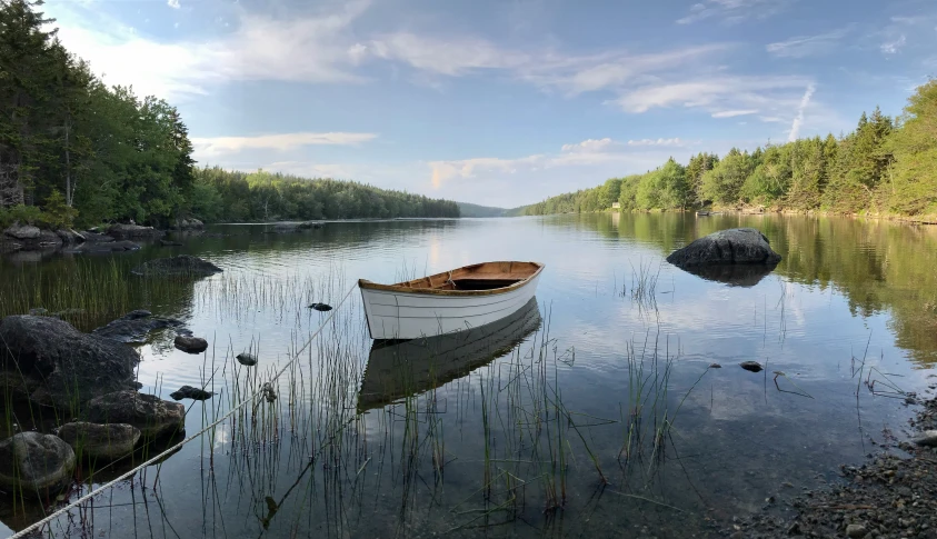 a small boat sitting on top of a lake next to a forest