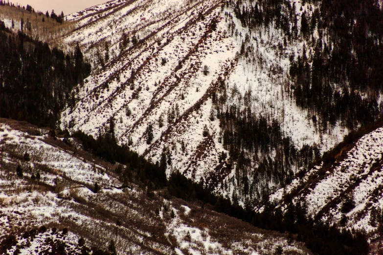 a snowy mountain landscape with evergreens and snow