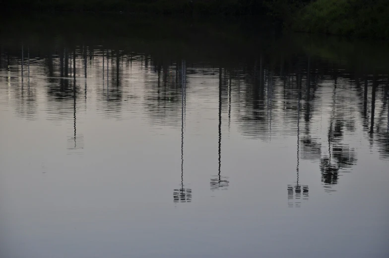 a bird on the dock next to the water