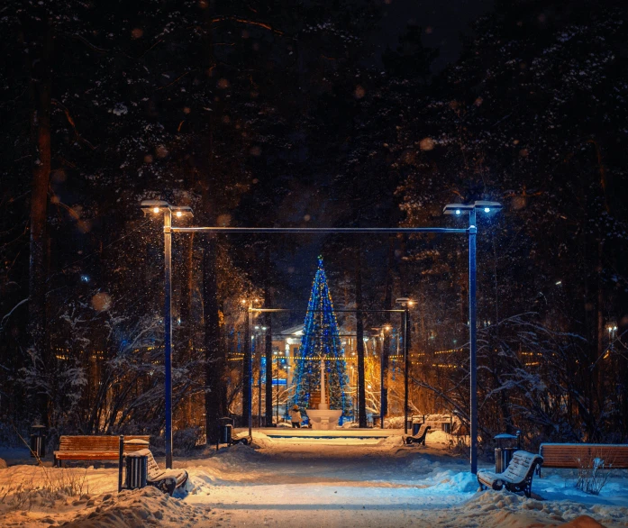 a snowy park with lots of benches and lights