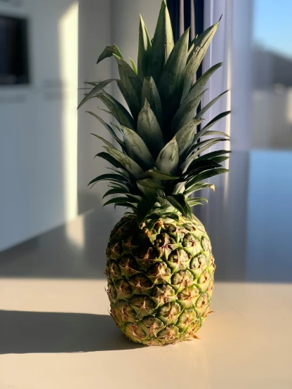 a pineapple is sitting on a counter in a room
