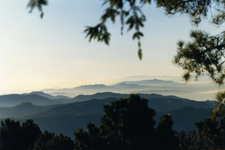 a view through some trees to mountains in the distance