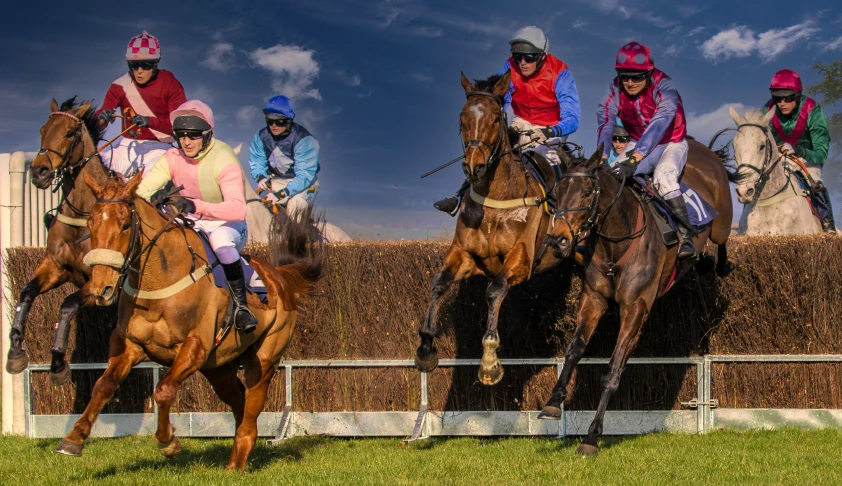 four people in colorful hats and pink coats are riding horses through a fence