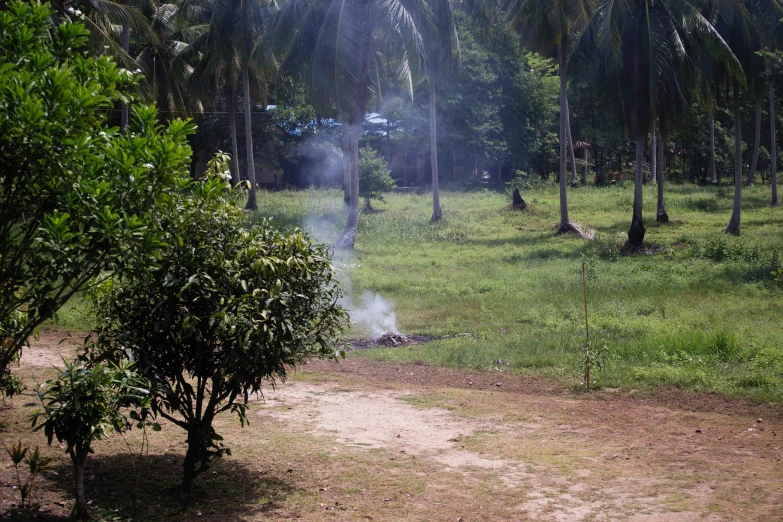 two people are standing outside in a wooded area with smoke