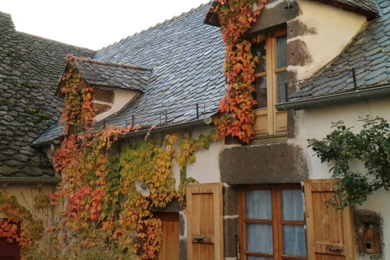 a house with vines growing up the outside wall