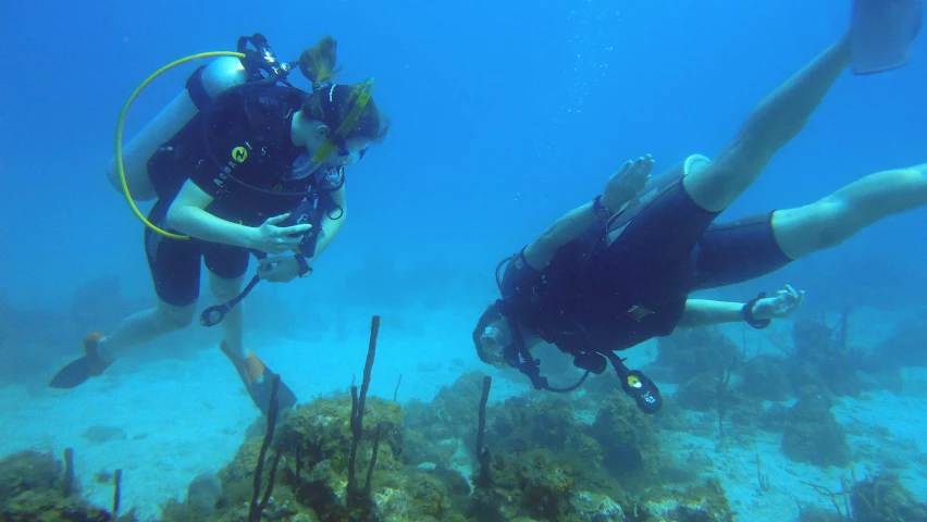 two men scuba in the ocean one is holding a paddle