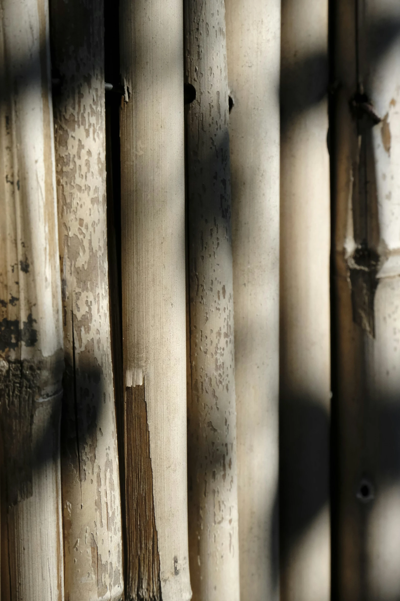 a bunch of wood sticks on display in a building