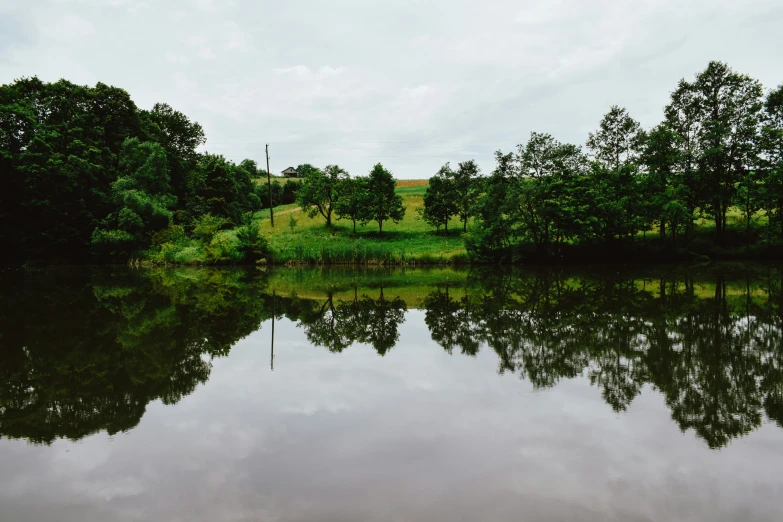 a small lake surrounded by lots of trees