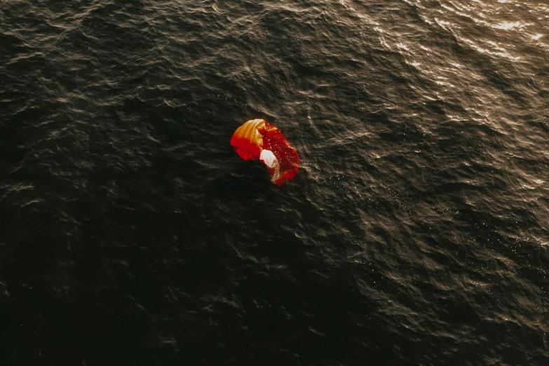 a red and white buoy floating on water