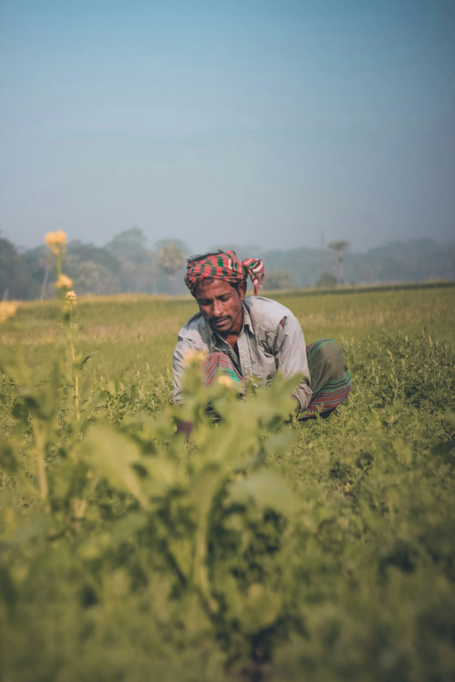 a man kneeling in a field next to a large plant