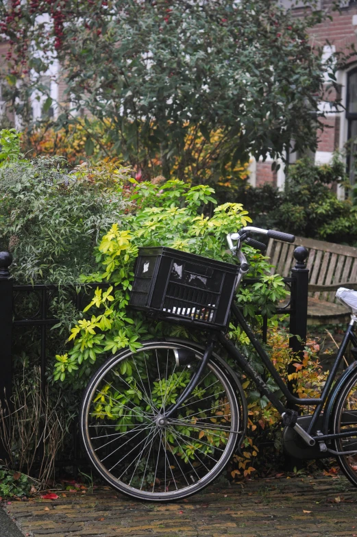 a bicycle leaning against a fence next to a row of plants