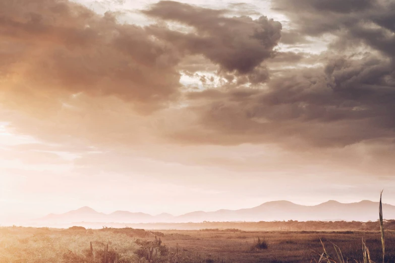 an old, lonely horse stands on the prairie with mountains in the background