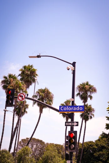 an intersection with palm trees and stoplight on the right