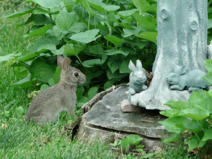 a rabbit statue is on a tree stump