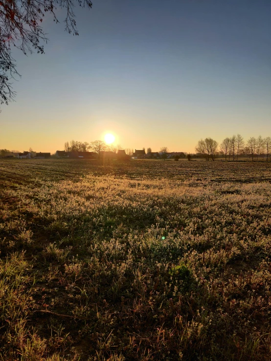 a very big grassy field with the sun in the distance