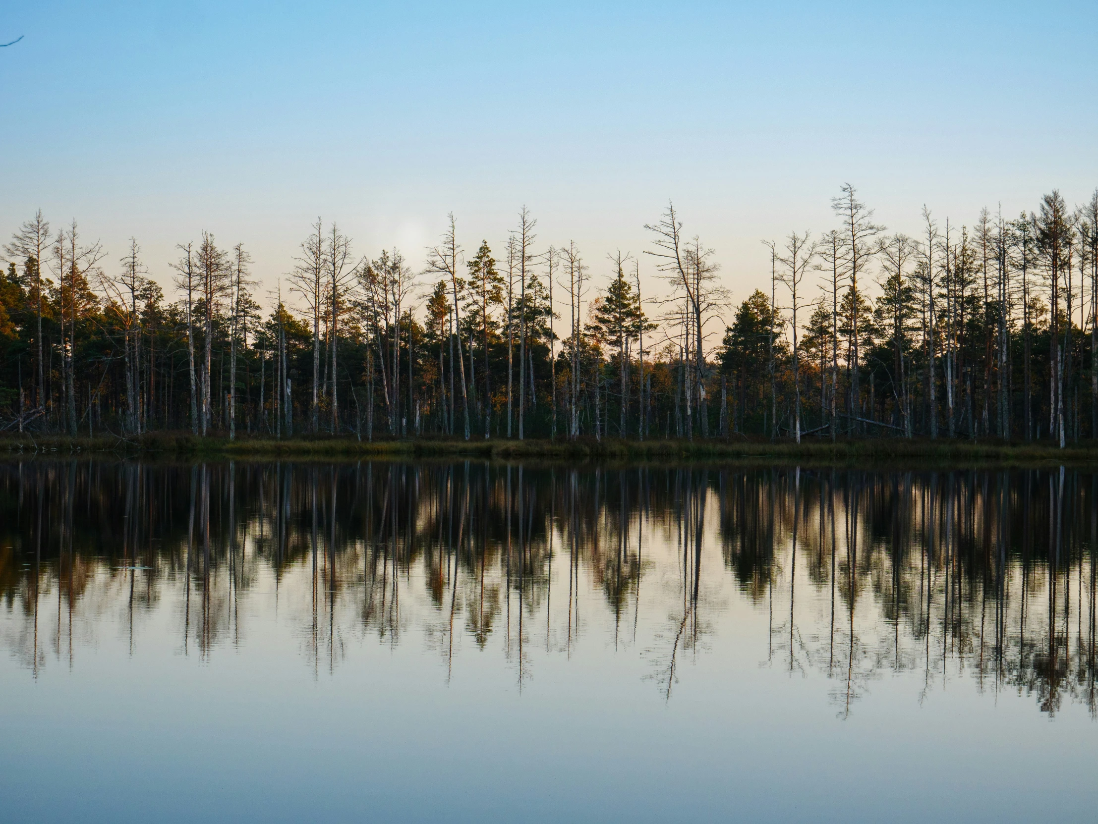 a pond surrounded by trees is shown with a few clouds