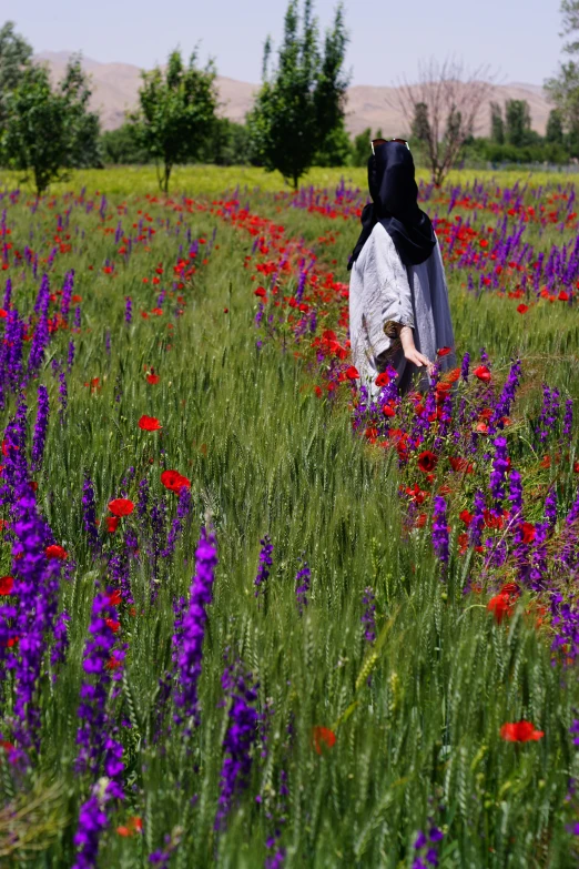 woman in long white dress walking through a field with purple flowers