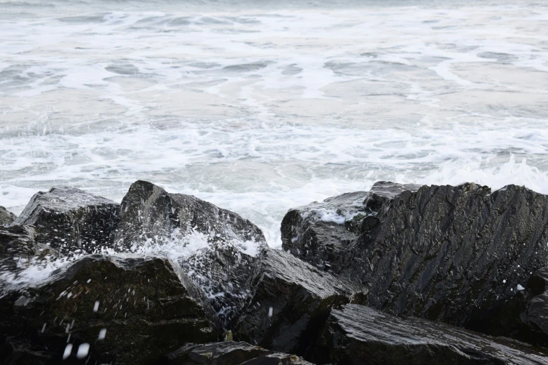 a black bird sitting on rocks near the water