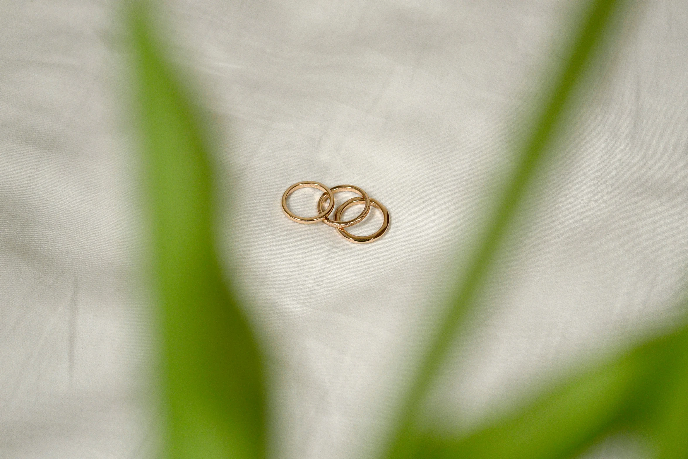 two rings resting on the surface of a white cloth