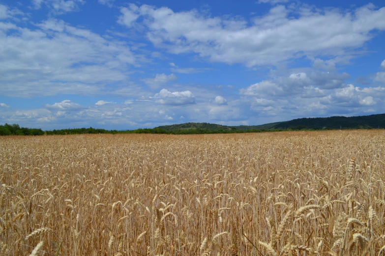 a large field that has a bunch of dirt in it