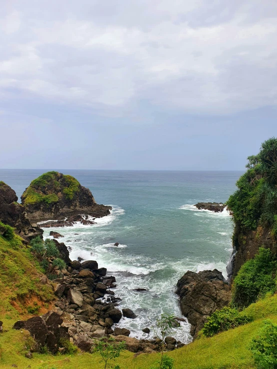 rocks and green plants in the ocean with clear blue skies