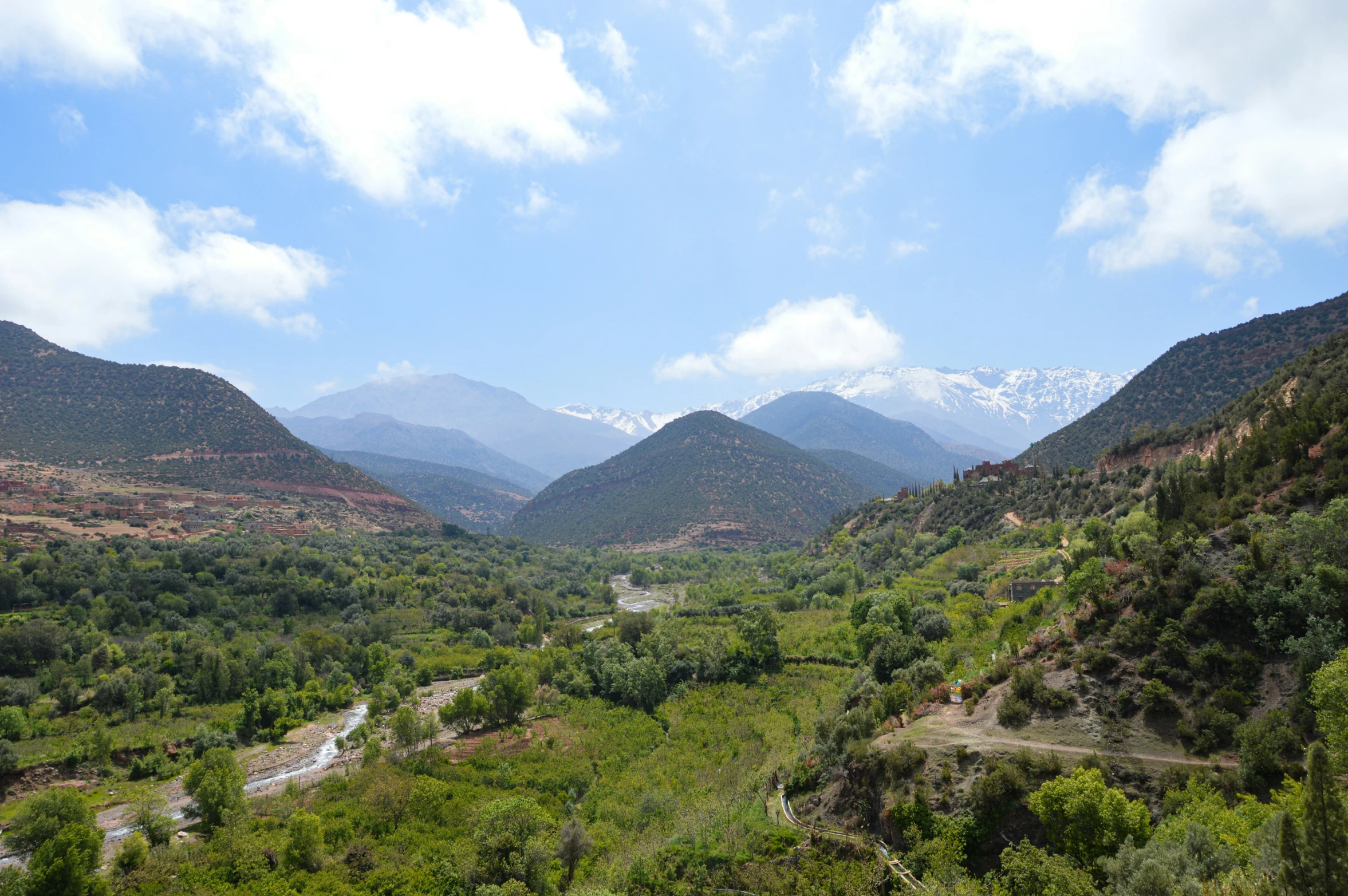 there are many hills that are dotted with grass and trees