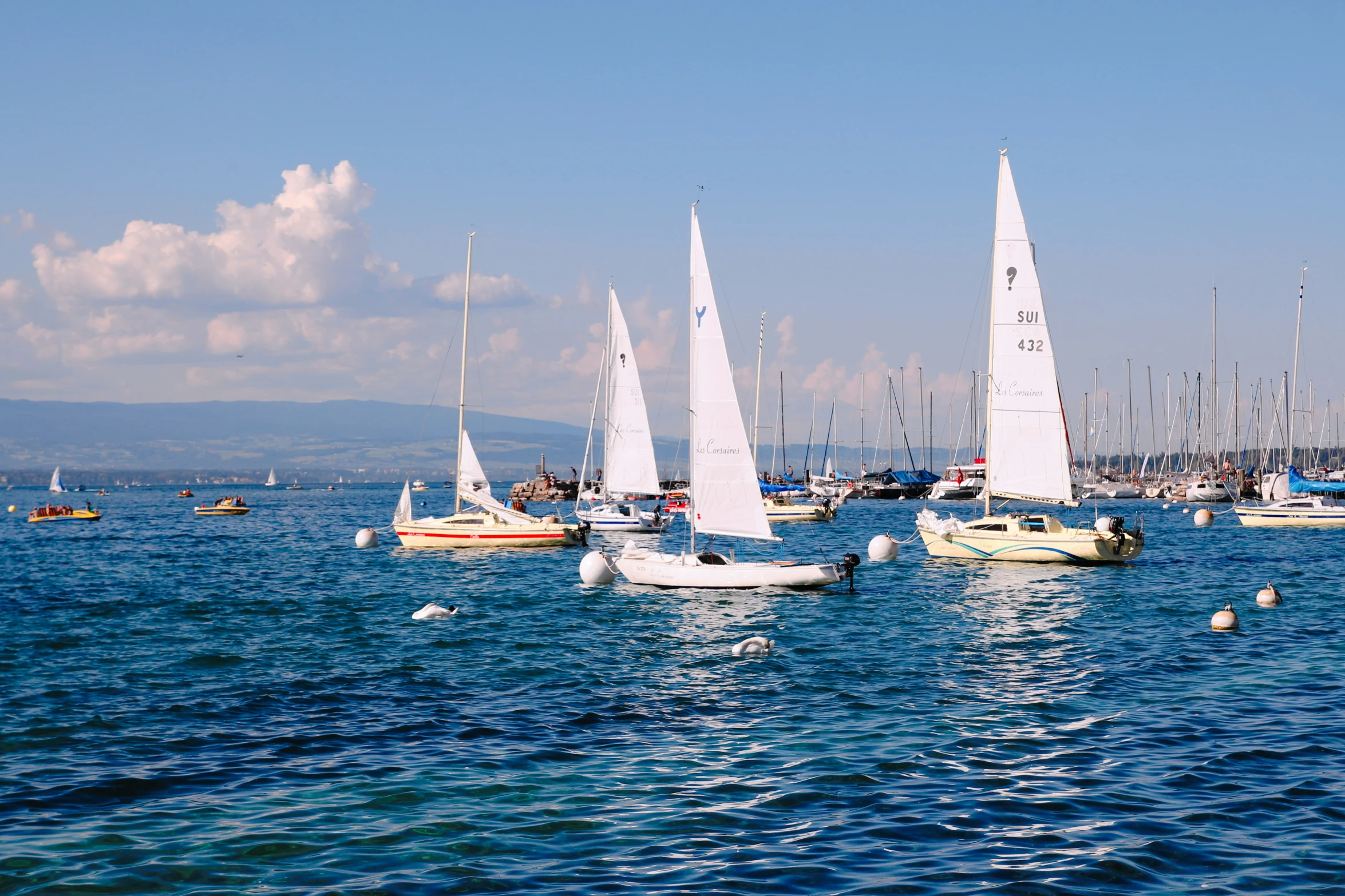 a large group of sailboats are out on the water