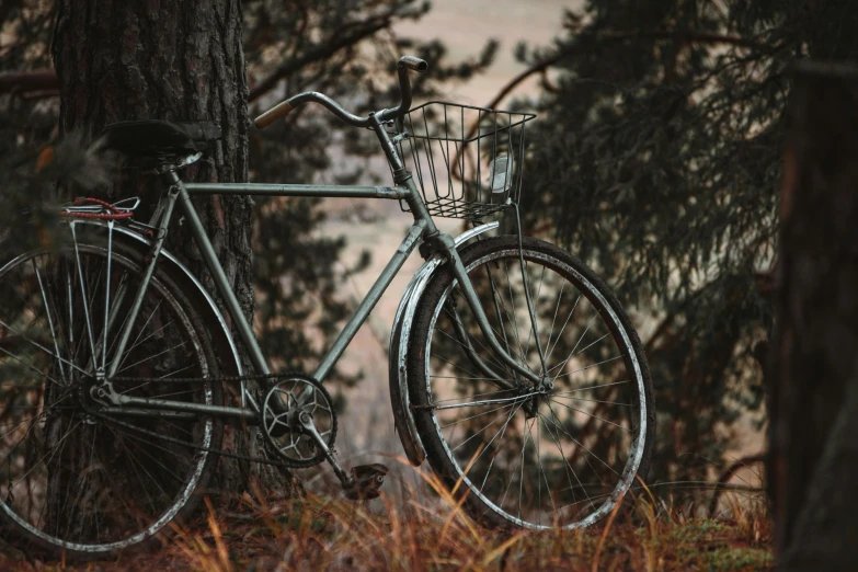 an old bike leaning up against a tree