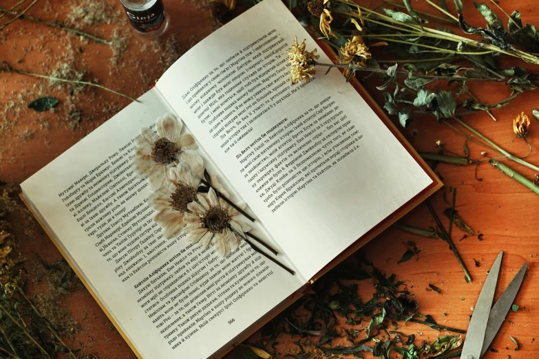 a book open on top of a wooden table