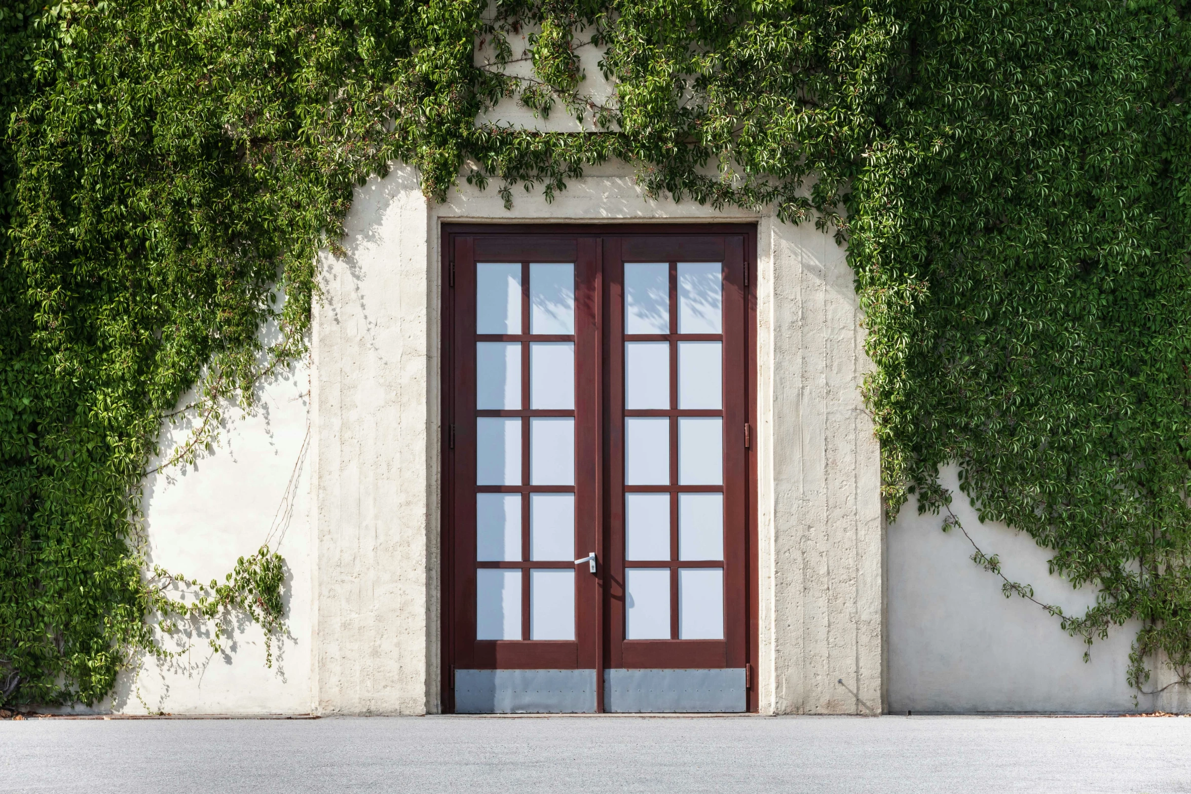 an outdoor courtyard area has ivy and doors