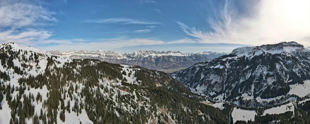 snowy mountains and trees on a sunny day