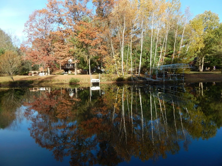 a lake is full of small, colorful trees