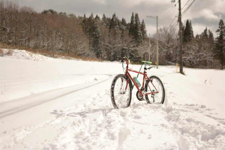 a red bike with a black and green handlebar standing in the snow