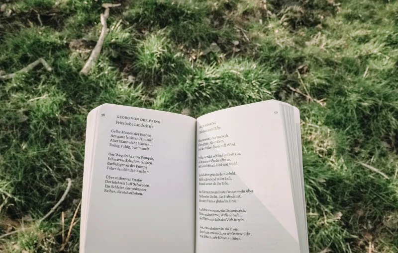 a person holding open an open book with words