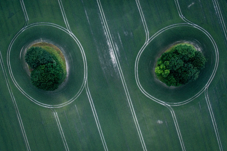 a green field with two circles in the middle