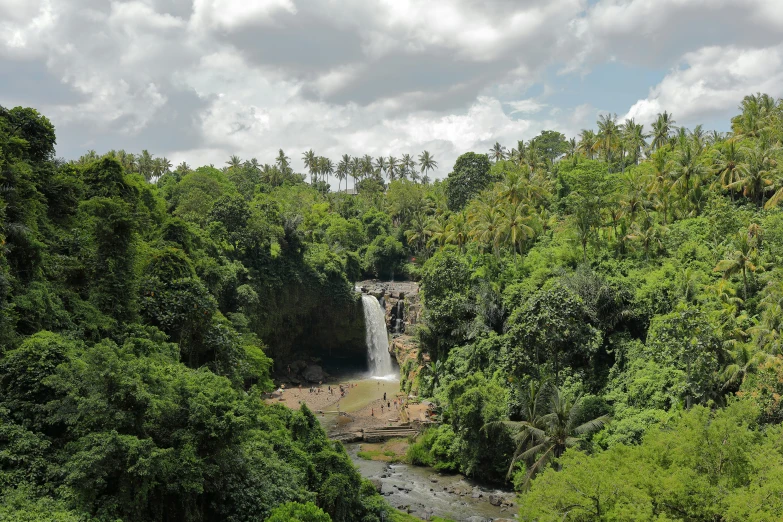 a small waterfall in the middle of a wooded area