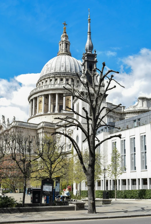 a very large building with a very tall tree