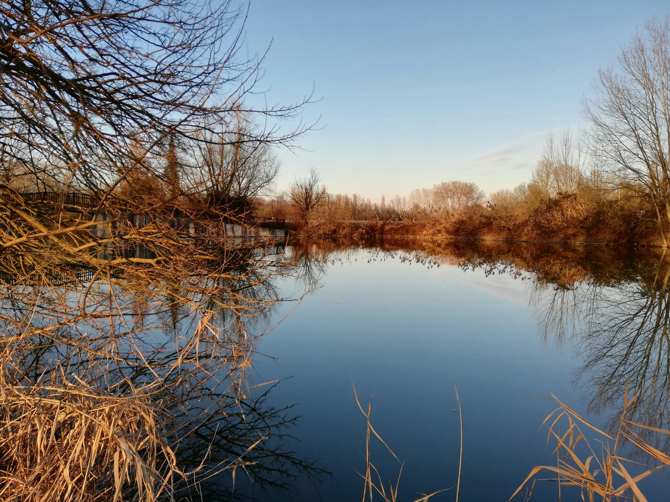 a small body of water next to some dried grass