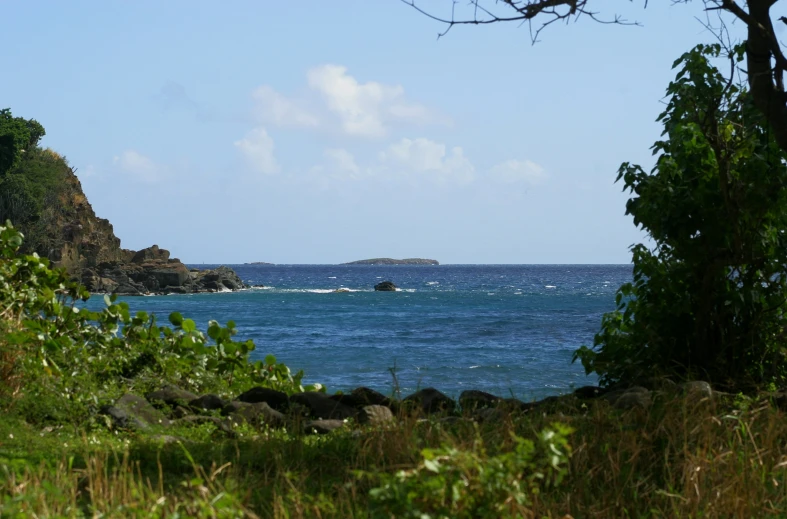 an island and trees by the ocean with some water