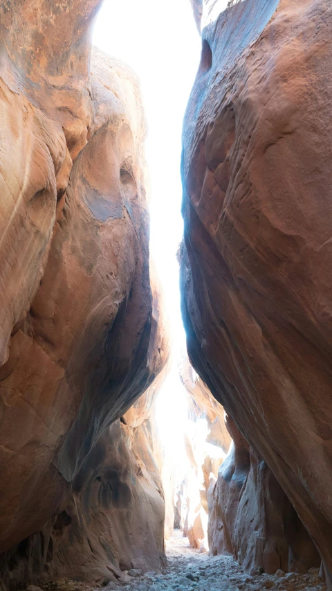 the path to the bottom of the narrows is narrow