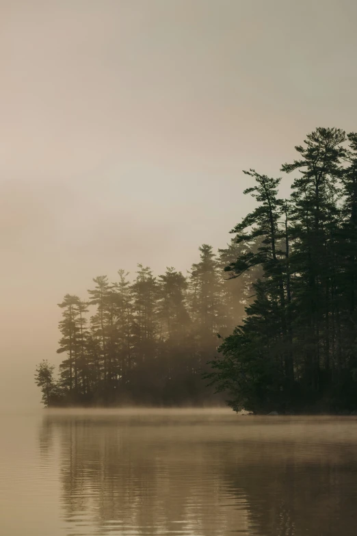 a small boat floating on a lake surrounded by woods