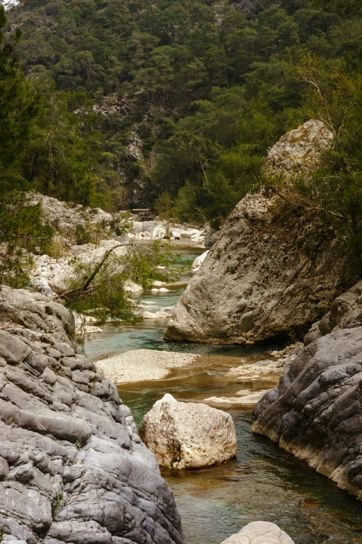 a stream runs through an area filled with rocks